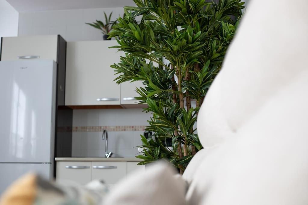 Lejlighed Trinidad Aparment Málaga